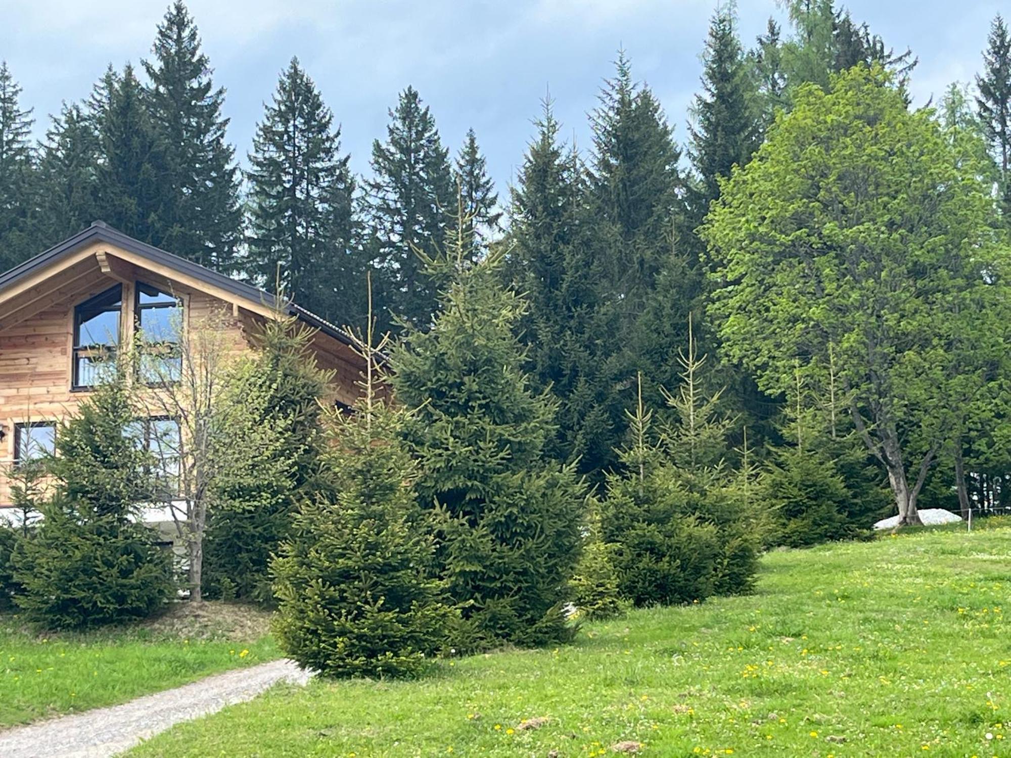 Chalet Bergheimat Ваграйн Экстерьер фото
